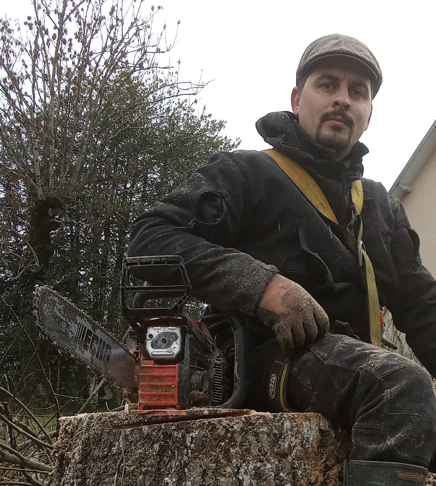 Expert en Élagage et Abattage d'Arbres